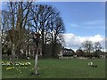 TF0607 : Springtime in Uffington by Richard Humphrey