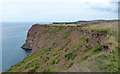 Cliffs at Redhouse Nab