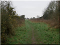 Looking south east from path on Ashill Common