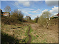 Footpath alongside Bagley Beck