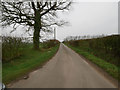 Looking along lane to Ashill