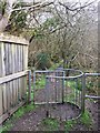 Footpath at Caergynydd Fawr