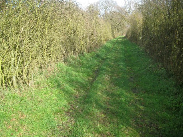 Thorrington: Public footpath near Great Marsh Farm