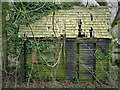 Disused shed in woodland at Horsleygate