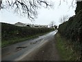 The lane to Barden