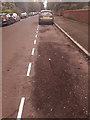 SZ0892 : Bournemouth: pristine white lines on St. Anthonys Road by Chris Downer