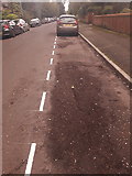 SZ0892 : Bournemouth: pristine white lines on St. Anthony’s Road by Chris Downer