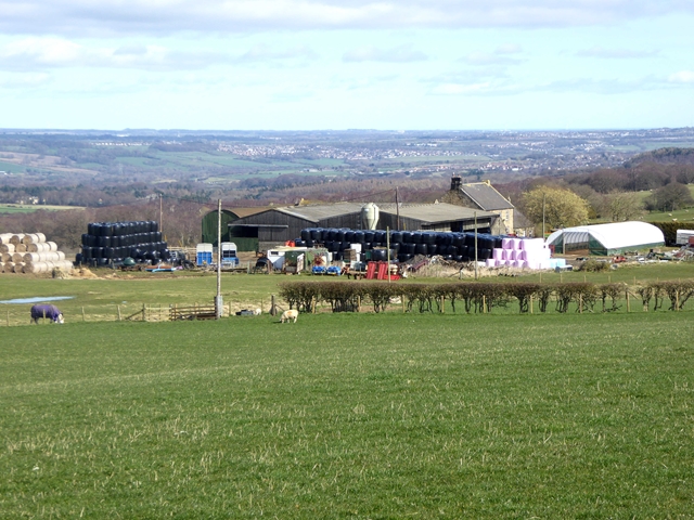 Hedley Park Farm