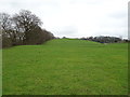 Grazing beside the River Etherow, Compstall