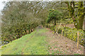 Liskeard & Caradon Railway Trackbed