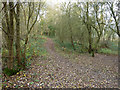 Path, Banstead Heath