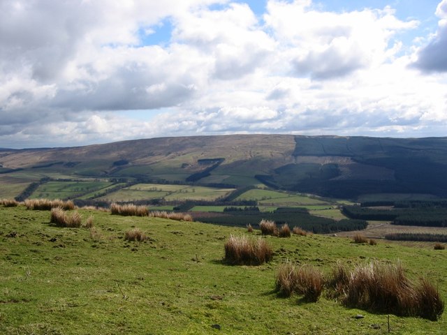 Rough grazing, Arnton Fell © Richard Webb :: Geograph Britain and Ireland