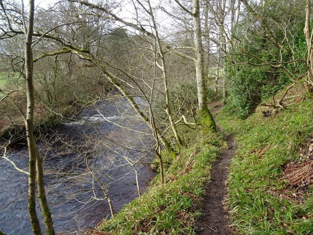 Path beside the River Knaik © Richard Webb :: Geograph Britain and Ireland