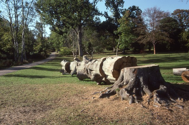 Tilgate Park in 1990