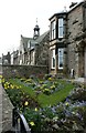 Spring flowers, garden on Crail Road