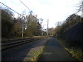 Midland Metro tramway in Guns Village, West Bromwich (1)