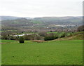 Grazing, Hargate Hill