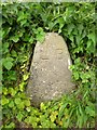 Old Boundary Marker by Hollow Way, Bridport