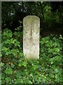 Old Milestone by the B3043, Hursley Road, Cuckoo Bushes