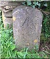 Old Boundary Marker by Berry Head Nature Reserve