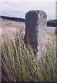 Old Guide Stone opposite Harper Hill, Skelding parish