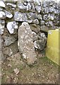 Old Boundary Marker by Lawns Corner, Higher Godsworthy