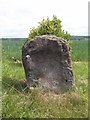 Old Milestone by the A639, East Hardwick