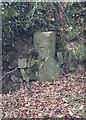 Old Boundary Marker near Haye Down Farm, Quither Common