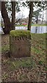 Old Boundary Marker by the River Ness