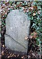 Old Boundary Marker by the B3260, New Road, Okehampton