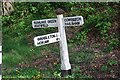 Old Direction Sign - Signpost by Cow Beech Road, Warbleton parish