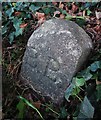 Old Boundary Marker by the A385, Bridgetown Hill, Totnes