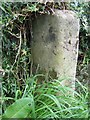 Old Boundary Marker by Glen View, Scosthrop