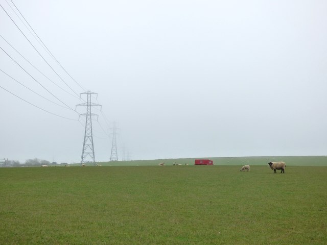 Sheep and pylons