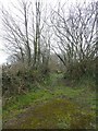 Old track, now footpath, to Blackborough