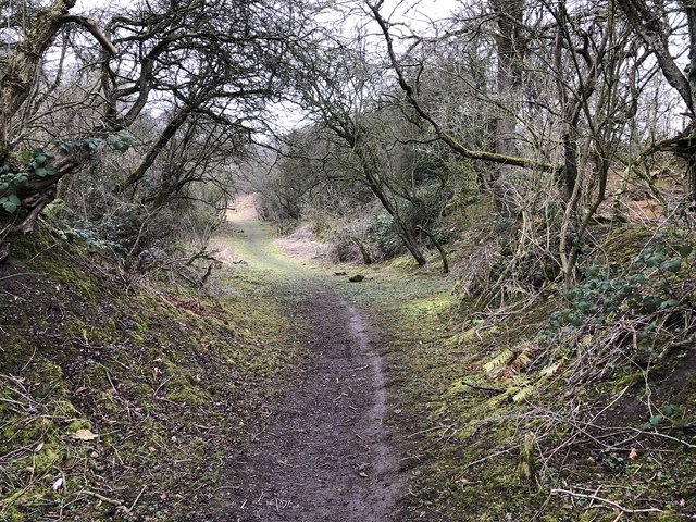 Footpath to disused quarry