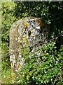 Old milemarker by the Oxford Canal, Wharf Farm, Clifton