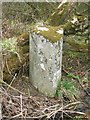 Old Milestone by the B7037, Auchmannoch Bridge