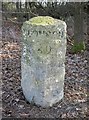 SU7825 : Old Milestone by the B2070, London Road, Liss parish by K Lawrence