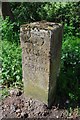 Old Milestone, A22, Blindley Heath Common