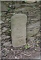 Old Milestone by South Brent Road, Loddiswell