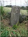 Old Guide Stone by Rooley Moor Road, near Catley Lane Head