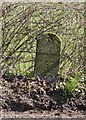 Old Milestone by the B4228, south of St Briavels