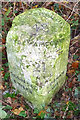 Old Milestone by the B2215, Portsmouth Road, Ripley