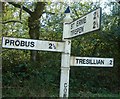 Old Direction Sign - Signpost south of Levardro