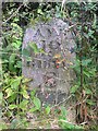 Old Milestone by the B7035, Park Wood, Old Dailly