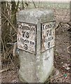 Old Milestone by the A343, Little Firs Farm, Nether Wallop