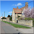 Fen Ditton: Home Farmhouse in early spring