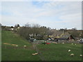 Houses Near Fawler