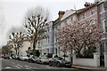 Regents Park Road, Primrose Hill